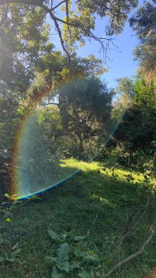 Passeio e Atividades Monte de ombúes-Barra Grande  Castillos