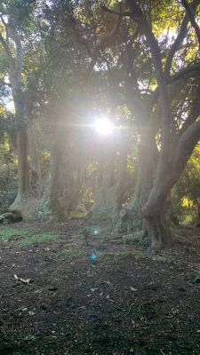 Passeio e Atividades Monte de ombúes-Barra Grande  Castillos