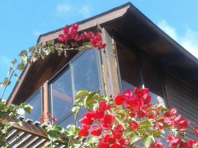 La Porfiada - Punta del Diablo - La Viuda 