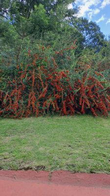 Casa Cañada Escondida  Villa Serrana