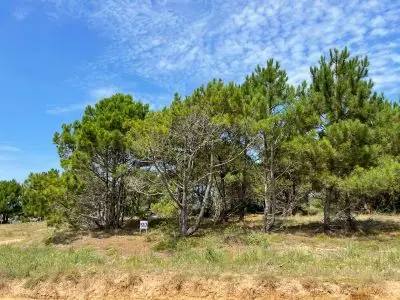 Se ofrece en venta Hermosos Terrenos en Playa Grande