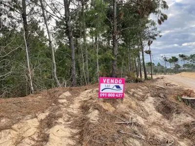 Se ofrece en venta Terrenos con vista al Mar en Playa Grande