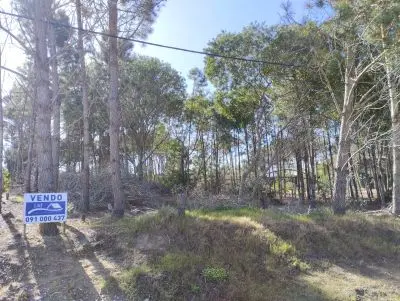 Se Ofrece En Venta Terreno En Punta del Diablo