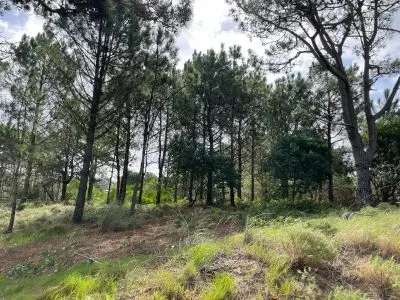 Lotes Terreno En Venta (Punta Del Diablo) Punta del Diablo