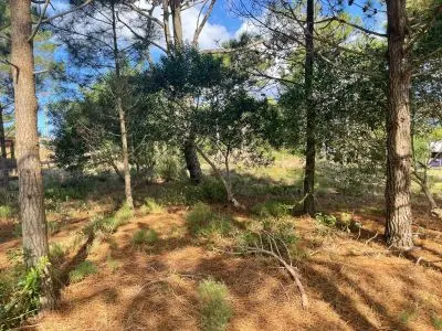 Terreno En Venta (Punta Del Diablo)