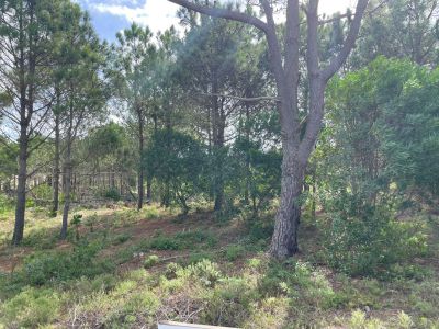 Lotes Terreno En Venta (Punta Del Diablo) Punta del Diablo