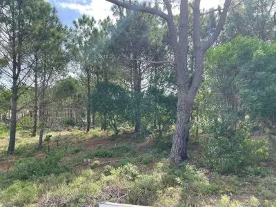 Lotes Terreno En Venta (Punta Del Diablo) Punta del Diablo