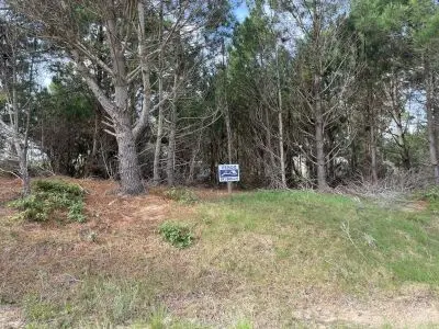 Hermosos Terrenos En Venta (Playa La Viuda- Punta Del Diablo