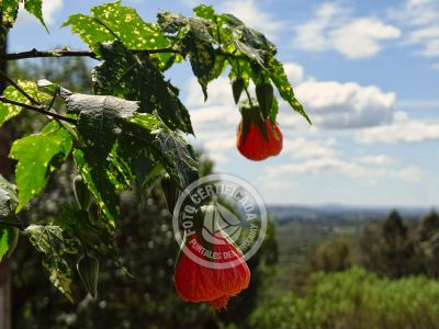 Bungalow Octógono  Santa María de las Sierras  Casa de Retiros Villa Serrana