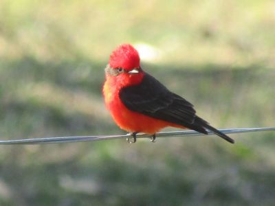 Luna de Abril - Villa Serrana