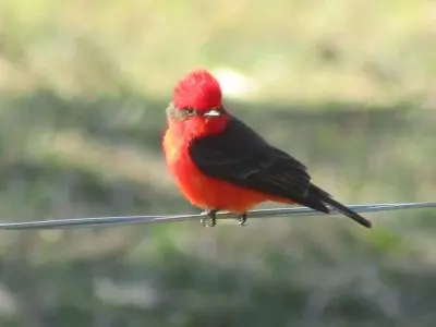 Luna de Abril - Villa Serrana