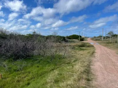 Se Ofrece en venta lotes a 200 mtrs de Playa La Viuda