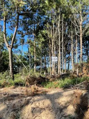 Se ofrece en venta hermoso lote en Punta del Diablo