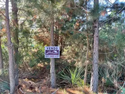 Hermoso terreno en el bosque de Punta del Diablo