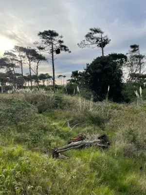 Gran oportunidad de adquirir Lotes en Punta del Diablo