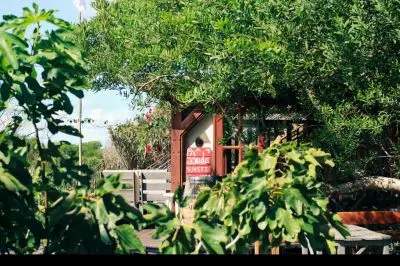 Villa Gran oportunidad de Inversión en Complejo y Restaurant Punta del Diablo