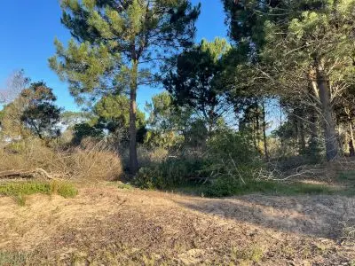 Se ofrece en Venta Terrenos a Excelente Precio