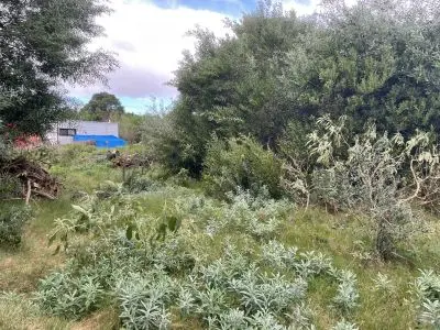 Terrenos Se Ofrece En Venta Terreno En Punta De Diablo A Excelente Pr Punta del Diablo