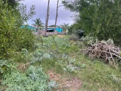 Terrenos Se Ofrece En Venta Terreno En Punta De Diablo A Excelente Pr Punta del Diablo