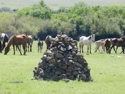 Alquimia Posada - Guichón - Pysandú