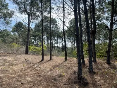 Oportunidad de adquirir Lote en Punta del Diablo