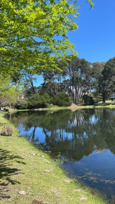 Apartamento Apartamento monoambiente en Green Park Solanas  Maldonado