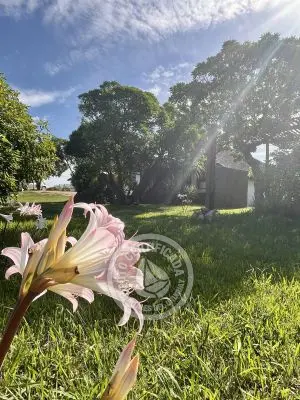 Villa Beija Flor Vip Punta del Diablo