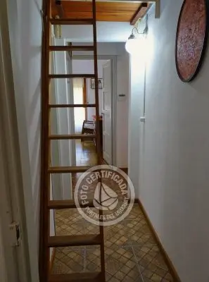 América - La Paloma