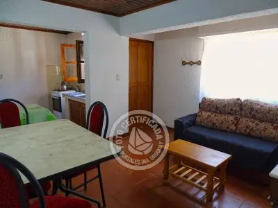 América - La Paloma