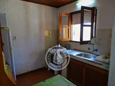 América - La Paloma