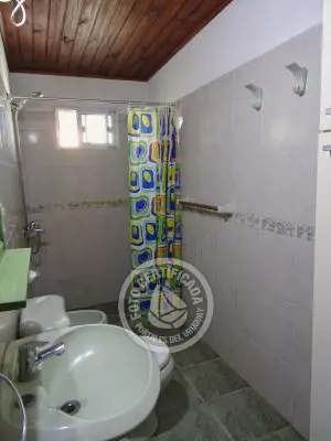 América - La Paloma