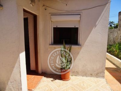 América - al fondo - La Paloma