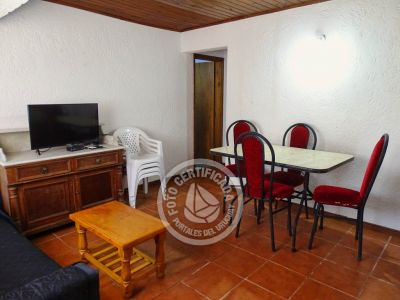 América - al fondo - La Paloma