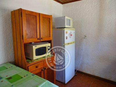 América - al fondo - La Paloma