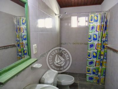 América - al fondo - La Paloma