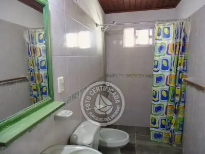 América - al fondo - La Paloma