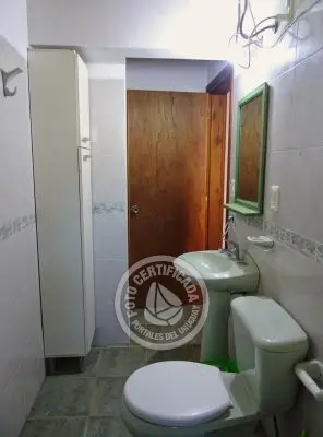 América - al fondo - La Paloma