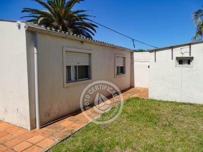 América - al fondo - La Paloma