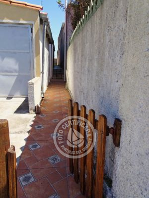 América - al fondo - La Paloma