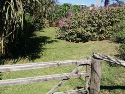 Laele - Punta del Diablo