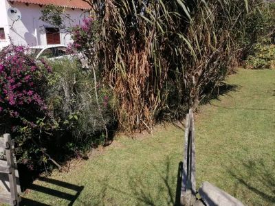 Laele - Punta del Diablo