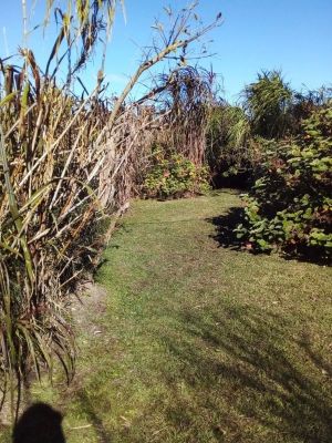 Laele - Punta del Diablo