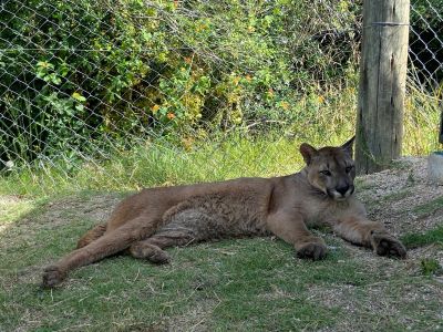 Estación de cría de Pan de Azúcar