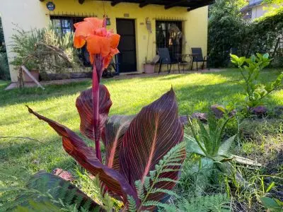Chacra El Bastión de Punta Gorda Nueva Palmira