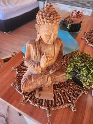 Lobos del Bosque - Punta del Diablo