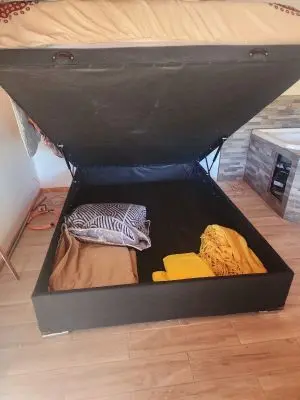 Lobos del Bosque - Punta del Diablo