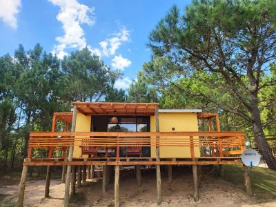 Lobos del Bosque - Punta del Diablo