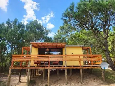 Lobos del Bosque - Punta del Diablo