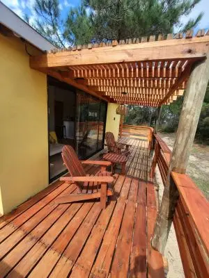 Lobos del Bosque - Punta del Diablo