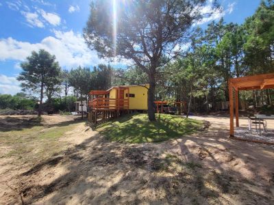 Lobos del Bosque - Punta del Diablo